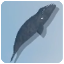 Bowhead Whale β How to Fish creature icon